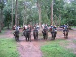Ballade à dos d'éléphant dans Angkor Thom